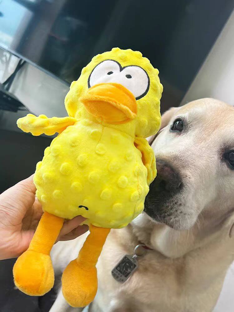 Eendenspeeltje voor Honden met Chew Guard