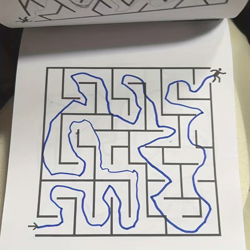 192 doolhofpuzzels – een boek dat concentratie en denkvermogen traint