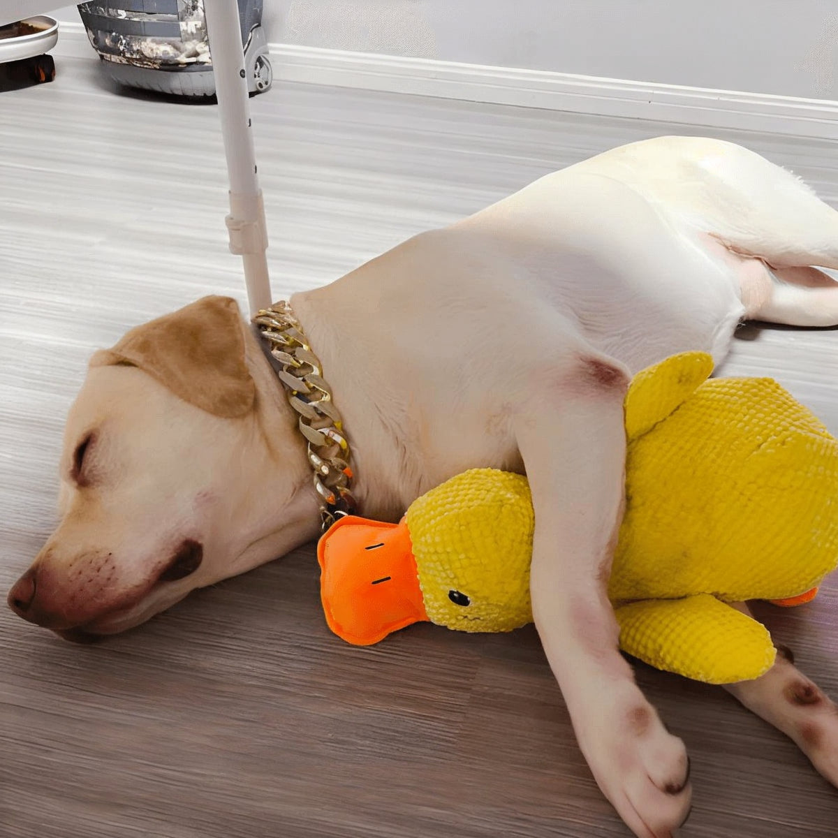 Eendenspeeltje voor Honden met Chew Guard