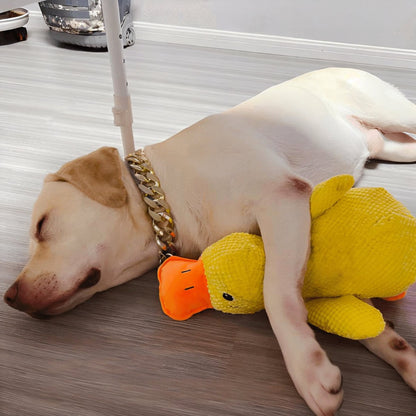 Eendenspeeltje voor Honden met Chew Guard