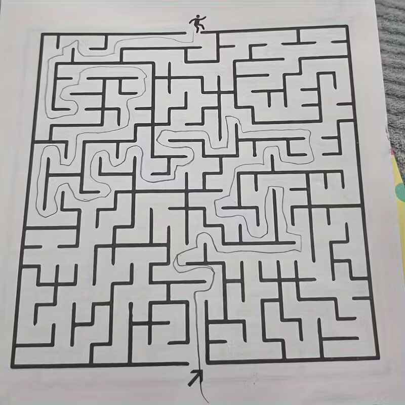 192 doolhofpuzzels – een boek dat concentratie en denkvermogen traint