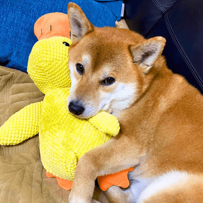 Eendenspeeltje voor Honden met Chew Guard