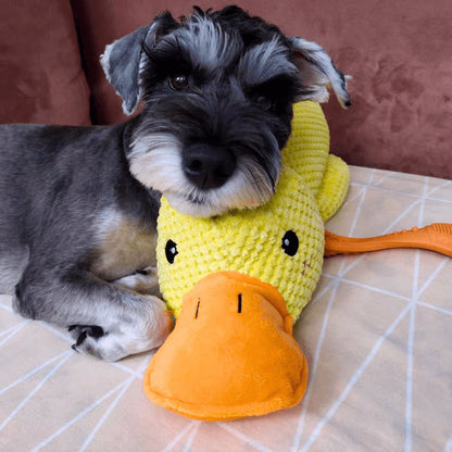 Eendenspeeltje voor Honden met Chew Guard